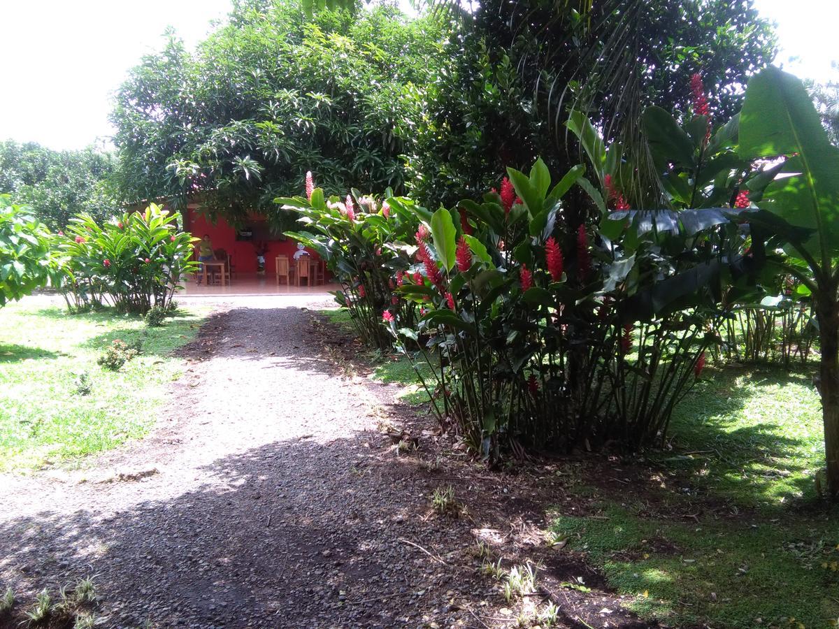 Paraiso Volcano Lodge Guayabo  Екстер'єр фото