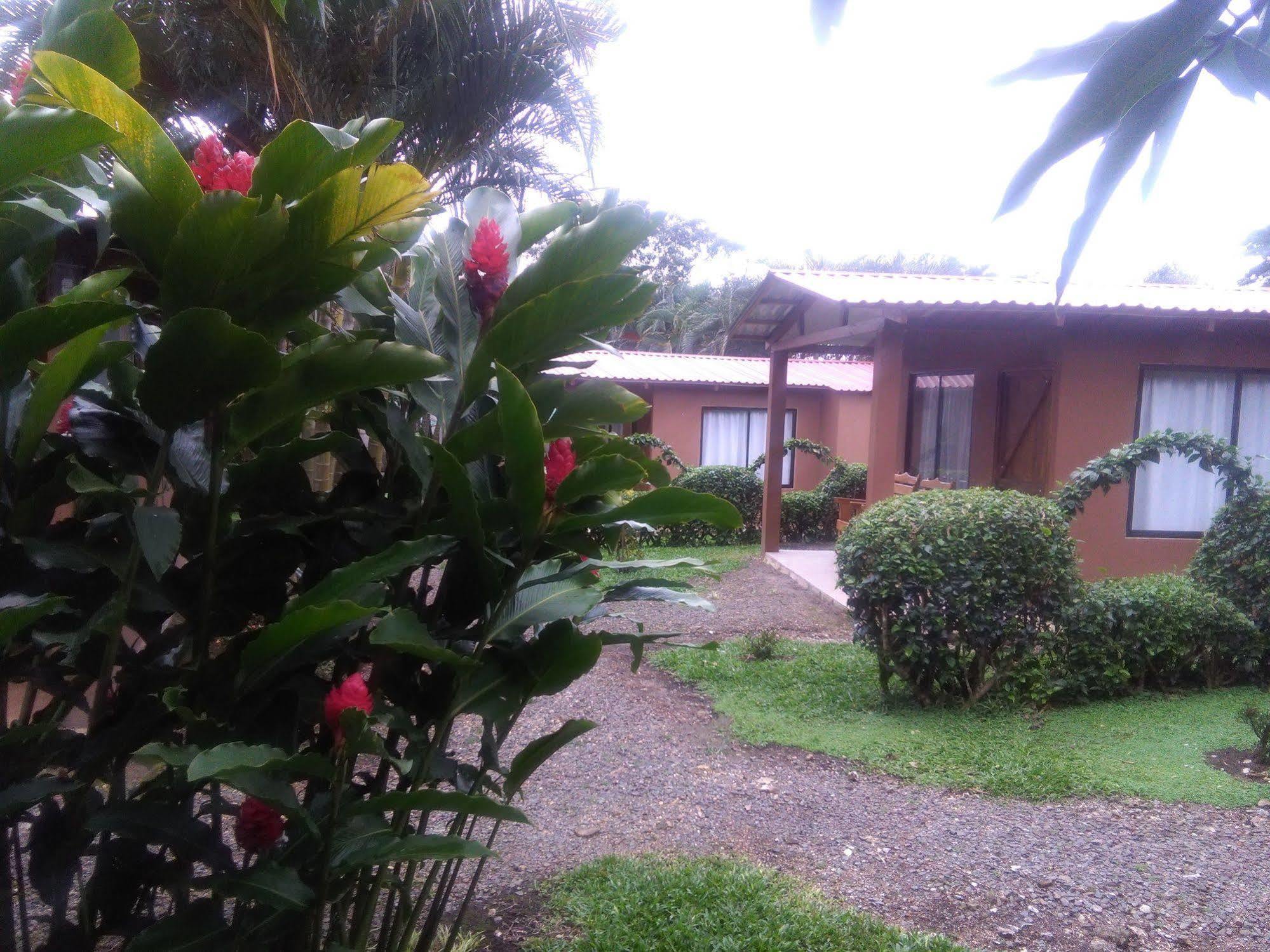 Paraiso Volcano Lodge Guayabo  Екстер'єр фото